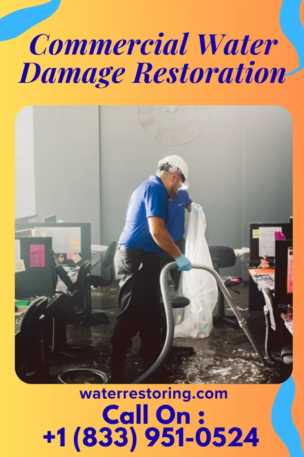 Commercial Water Damage Restoration in Townville, PA