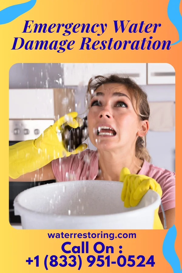 Emergency Water Damage Restoration in Townville, PA