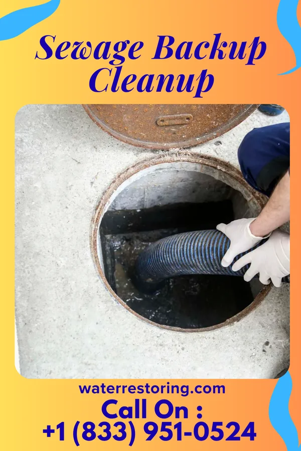Sewage Backup Cleanup in Townville, PA